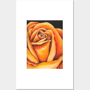 Orange Rose Posters and Art